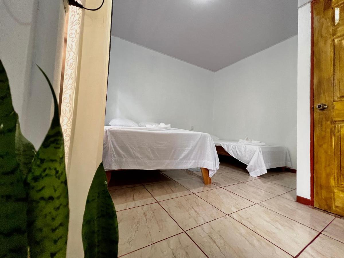 Natural Experience House Tortuguero Exterior photo